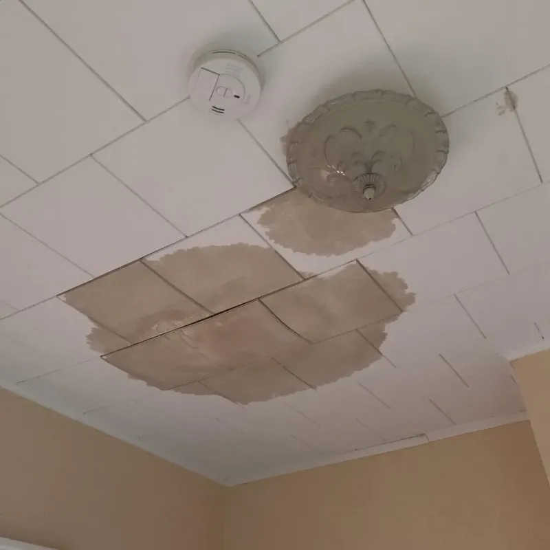 Ceiling Water Damage Repair in Early, TX