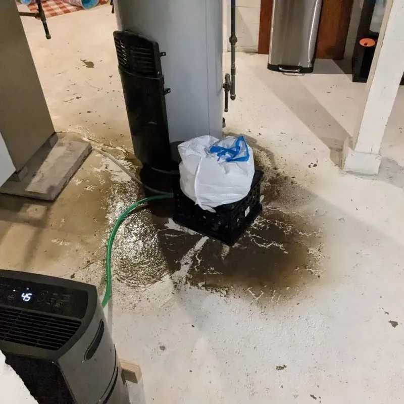 Sewage Backup Cleanup Service in Early, TX